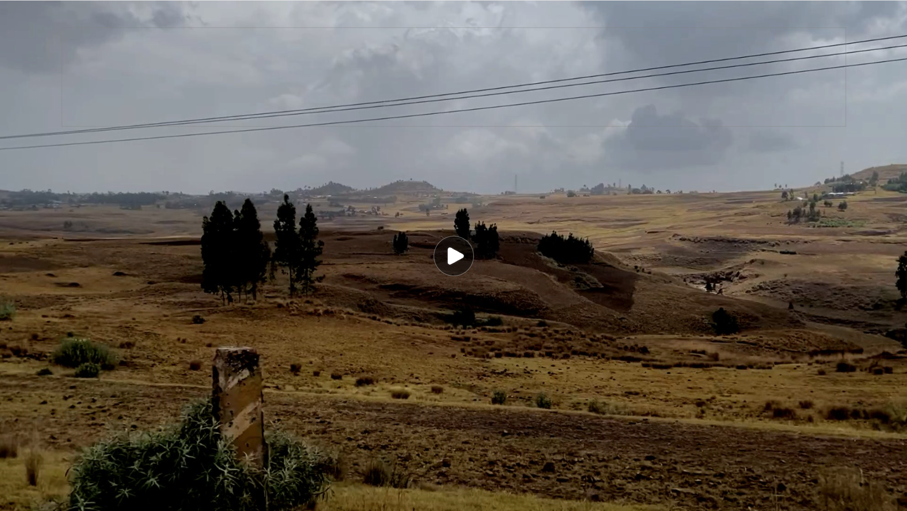 Bricks for Life Video Thumbnail